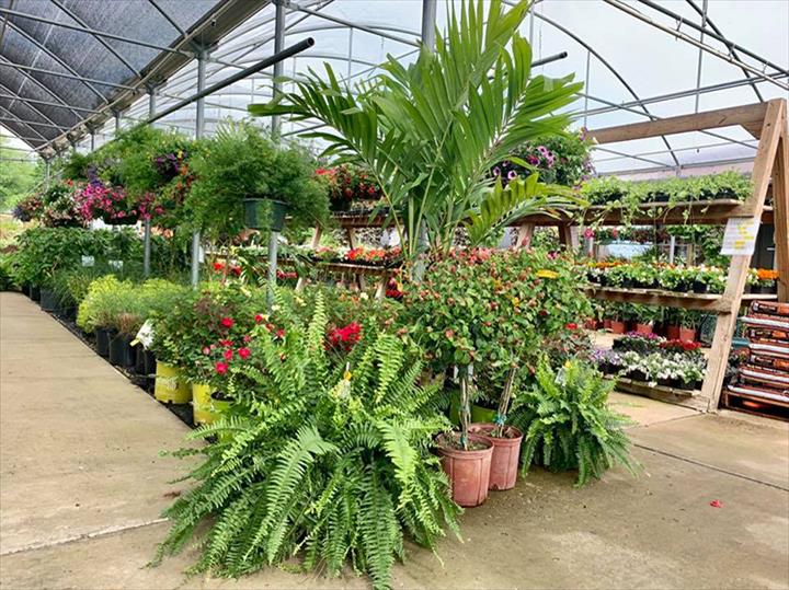 Simply Mulch Bowling Green, KY